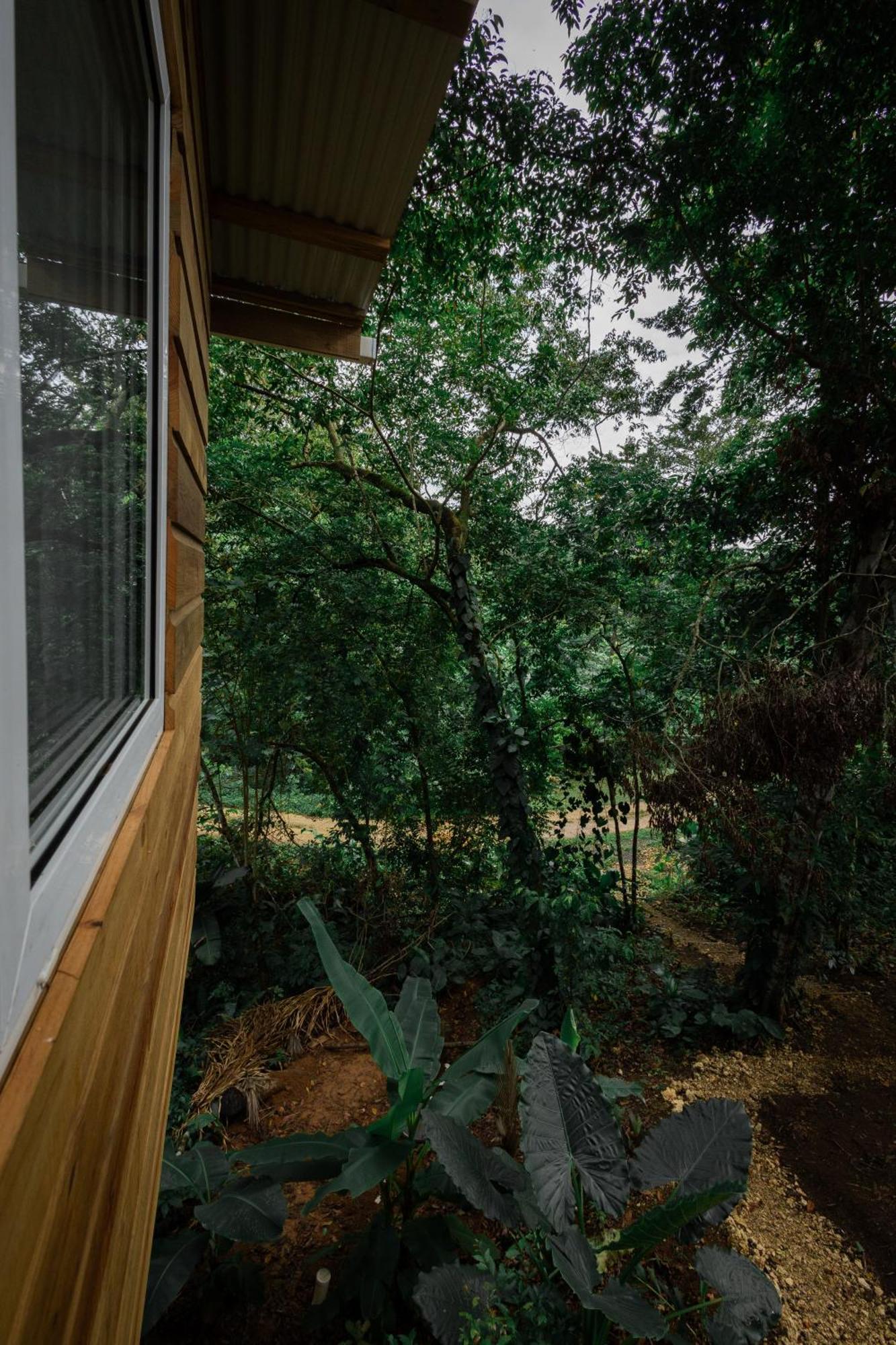 Villa Monkey Tiny House - Private Swimming Pool Big Bight Exterior foto